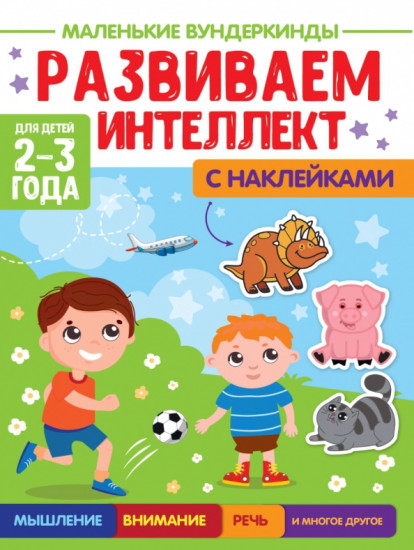 Развиваем интеллект. 2-3 года