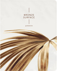 Дневник школьный «Bronze surface»