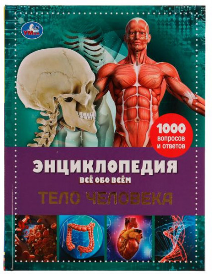 Тело человека