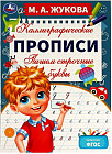 Пишем строчные буквы. Каллиграфические прописи
