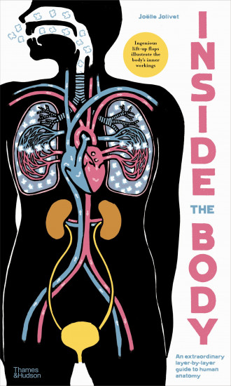 Inside the body