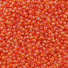 81016