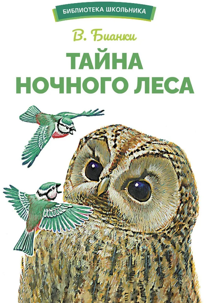 Тайна ночного леса | Библиотека школьника