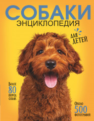 Самая лучшая иллюстрированная энциклопедия