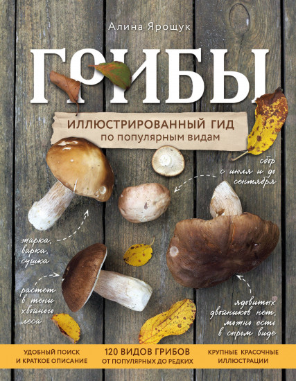 Грибы. Иллюстрированный гид
