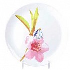 Тарелка обеденная Water Color, диаметр 25 см