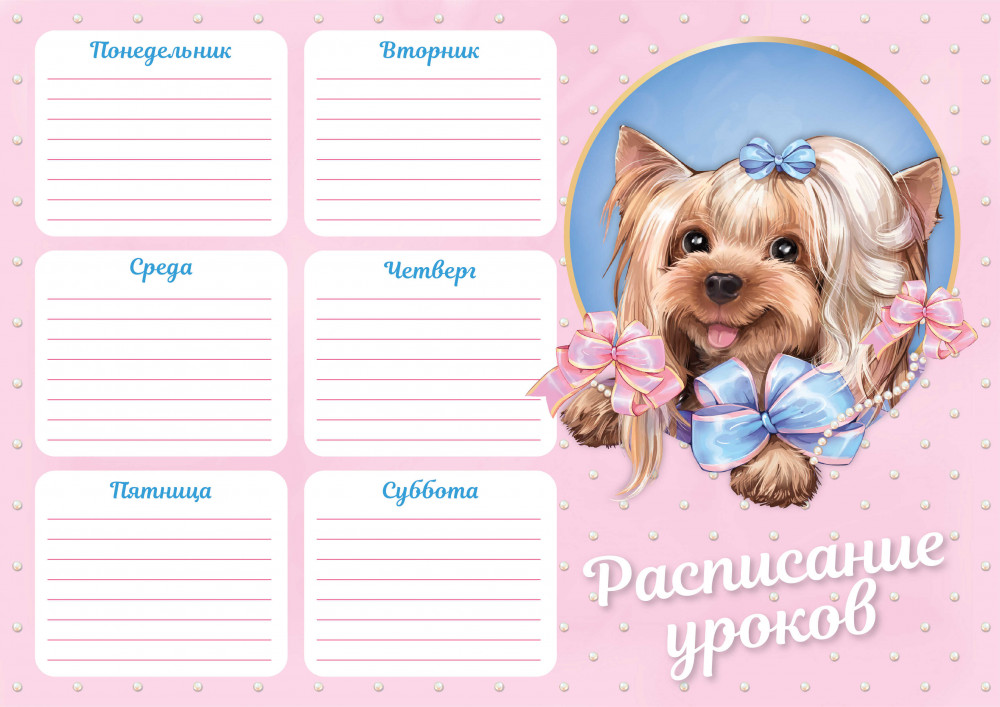 Расписание уроков «Йорк с бантом» | Милые малышки | Феникс +