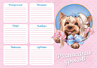 Расписание уроков «Йорк с бантом»
