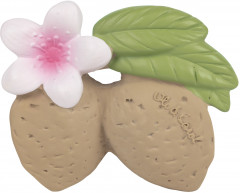 Прорезыватель «Aly the Almond»
