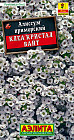 Алиссум «Клеа кристал вайт»