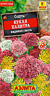 Седум «Яркая палитра»