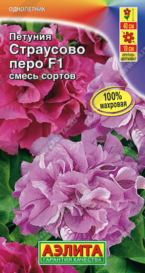 Петуния «Страусово перо F1»
