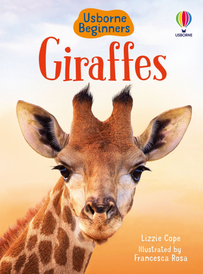 Beginners Giraffes