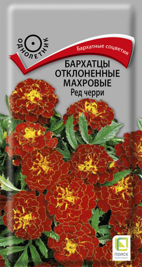 Бархатцы отклоненные «Ред черри»