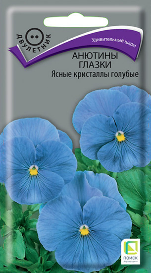 Анютины глазки
