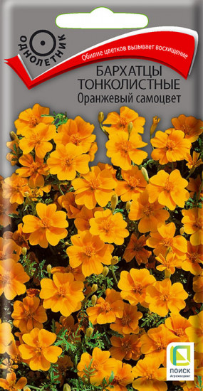 Бархатцы тонколистные
