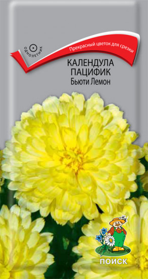 Календула пацифик «Бьюти лемон»