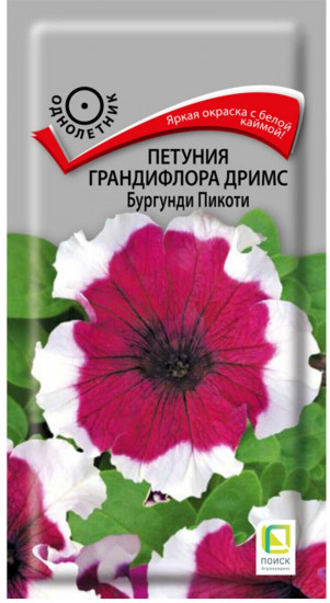 Петуния грандифлора дримс «Бургунди пикоти»