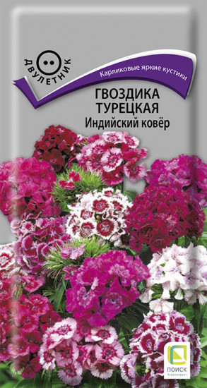 Гвоздика турецкая «Индийский ковёр»