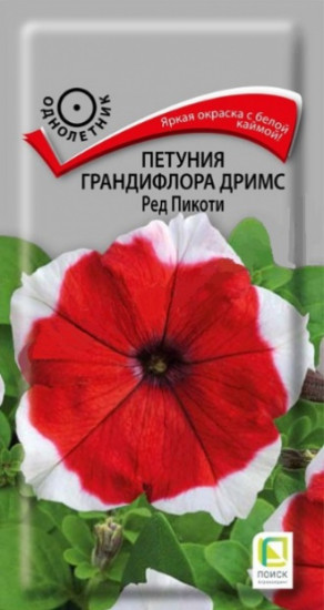 Петуния грандифлора дримс «Ред пикоти»