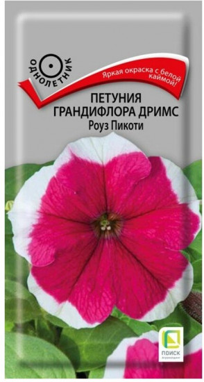 Петуния грандифлора дримс «Роуз пикоти»