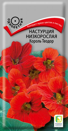 Настурция низкорослая