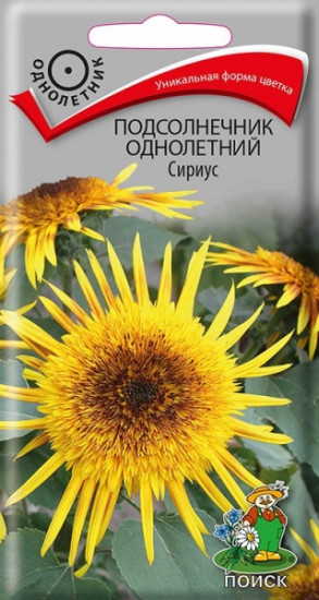 Подсолнечник «Сириус»