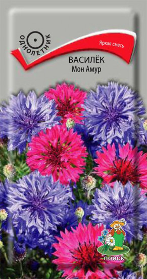 Василек «Мон Амур»