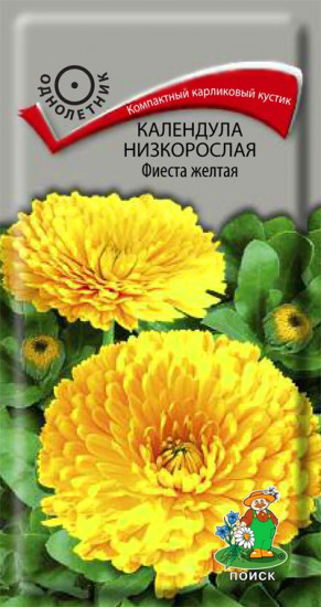 Календула низкорослая «Фиеста»