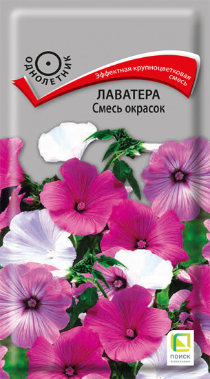 Лаватера «Смесь окрасок»