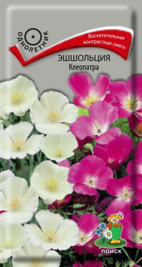 Эшшольция «Клеопатра»