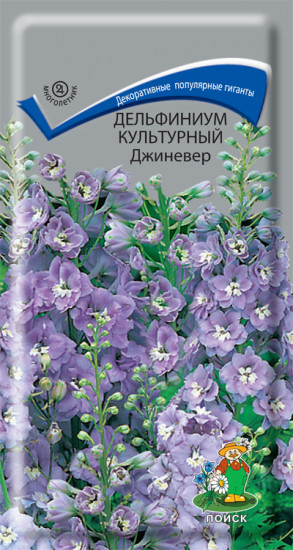 Дельфиниум культурный