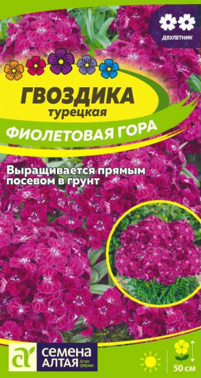 Гвоздика «Фиолетовая гора»