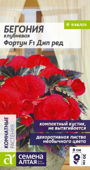 Бегония «Фортун»