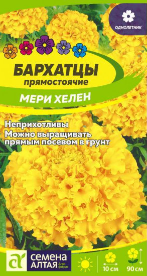 Бархатцы «Мери хелен»