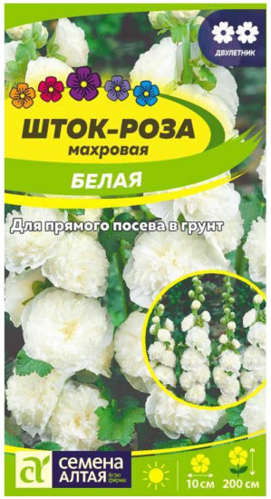 Шток-роза «Махровая белая»