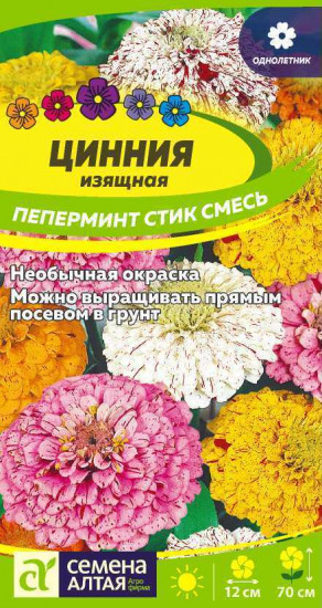 Цинния «Пеперминт стик смесь»