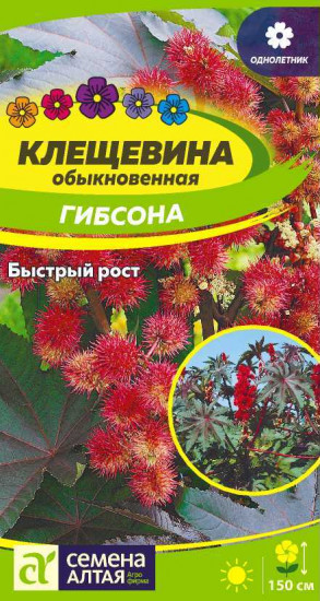 Клещевина «Гибсона»