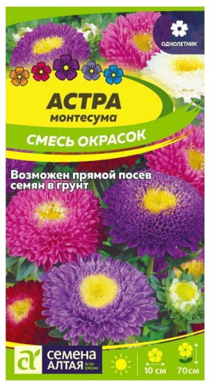 Астра «Смесь окрасок»