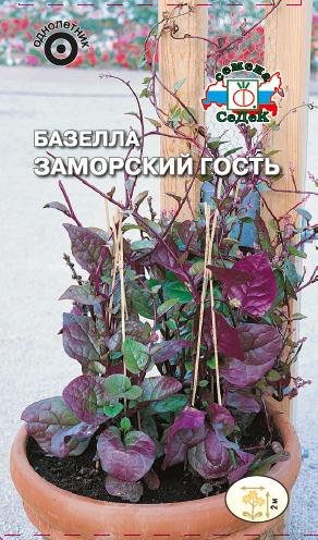 Базелла «Заморский гость» | СеДеК