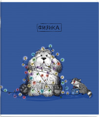 Тетрадь предметная «Физика»