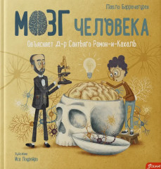 Мозг человека. Объясняет д-р Сантьяго