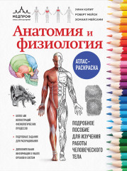 Анатомия и физиология