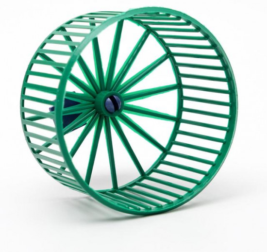 Колесо для хомяка 20 см. Беговая дорожка для кошек. Trixie колесо для грызунов. Кот на беговой дорожке. Колесо для клетки дарэлл 3152.