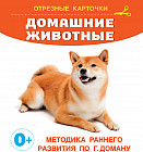 Домашние животные