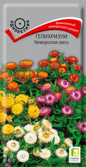Гелихризум «Низкорослая смесь»