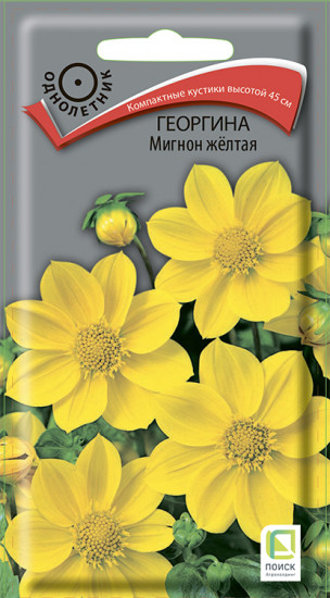 Георгина «Мигнон жёлтая»