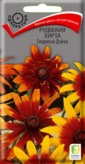 Рудбекия хирта «Глориоза Дэйзи»
