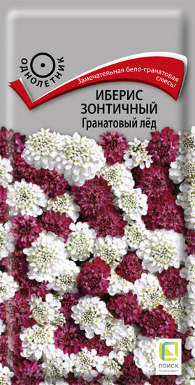 Иберис зонтичный