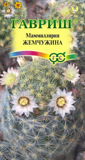 Кактус «Маммиллярия Жемчужина»